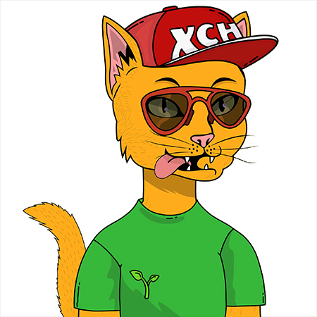 CAT NFTS